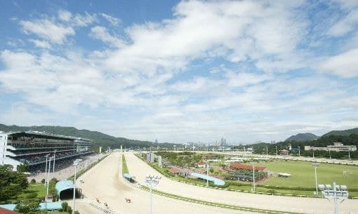 과천경마장 이전 2.4조 비용 부담 놓고 마사회와 정부 평행선
