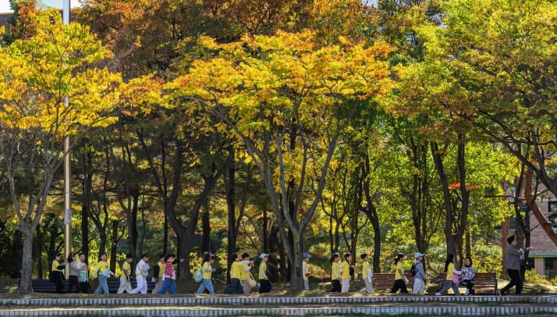 낮 최고 27도 포근한 토요일…오후부터 강풍 불고 일요일엔 전국 비