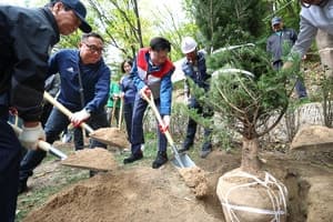 서대문구, 2030년까지 나무 30만 그루 심어 도심 녹색망 구축