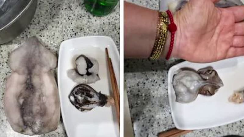 "데쳤더니 4분의 1로"…중국산 냉동 오징어 품질 논란