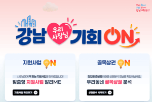 강남구, 전국 최초 '우리 사장님 기회 ON' 출시…맞춤형 지원·상권 분석 통합