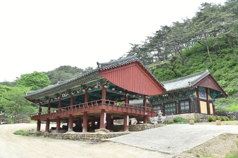 산불로 훼손된 청송 국가유산 5곳, 62억 투입해 2027년까지 원형 복원