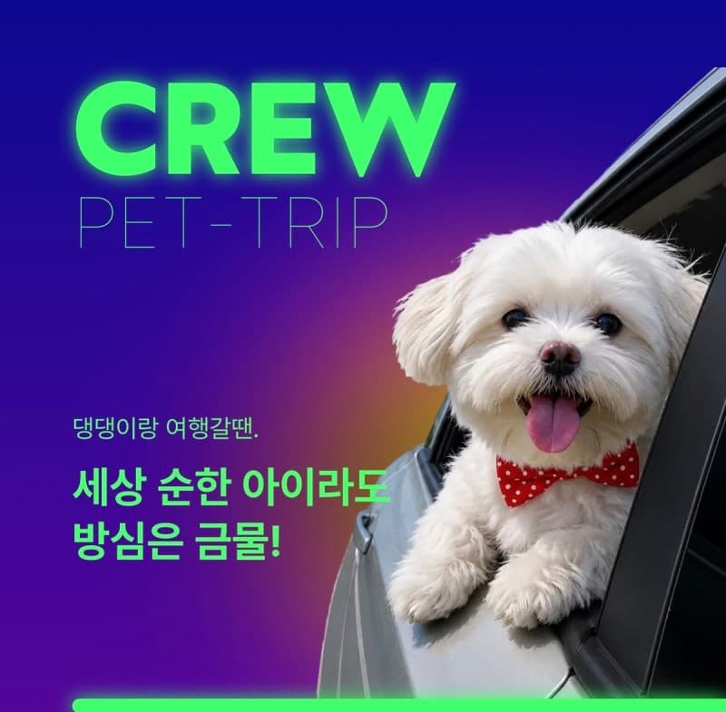 롯데손해보험, 반려견 산책·여행 중 견주 위험 보장 '댕댕이랑 여행갈땐보험' 출시