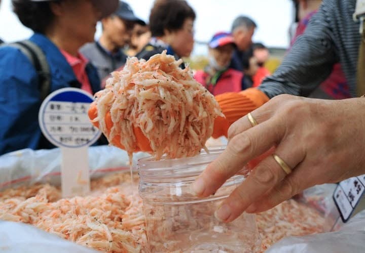 정부, 김장철 배추·무 공급 확대…수산물·돼지고기 할인 지원 나선다