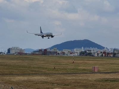 항공 마일리지 적립 약속 안 지키는 항공사들…피해구제 신청 매년 급증