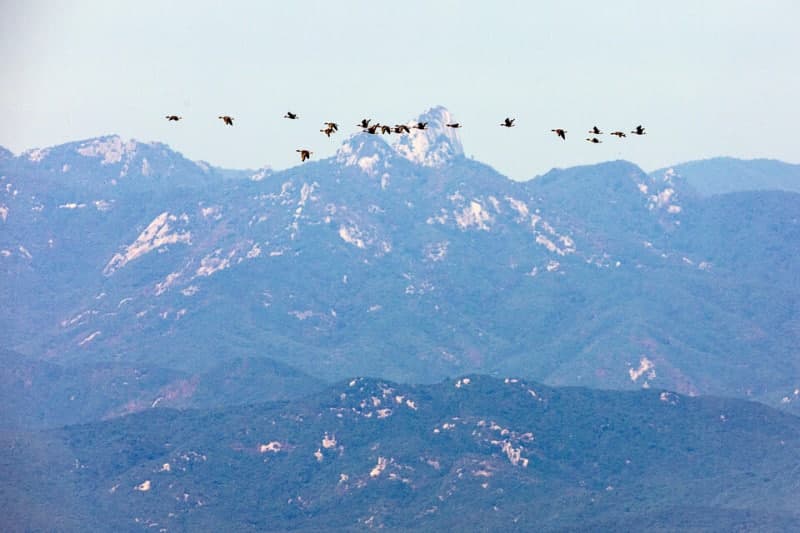 “한국은 철책선부터”…유엔사, DMZ 조사 거부 넘어 시설 관할권까지 요구