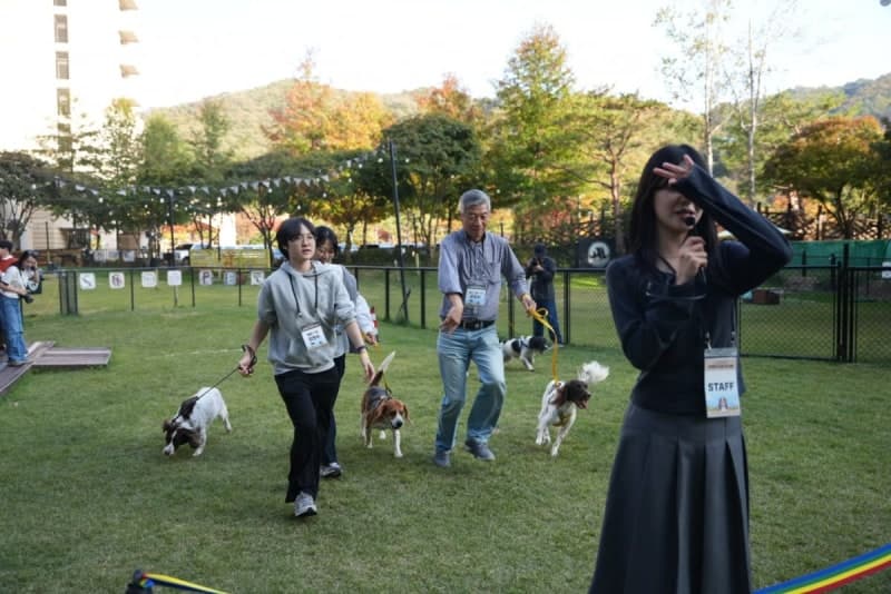 국가 위해 뛴 은퇴 검역탐지견, 새 가족 찾는 1박 2일 교감 여행