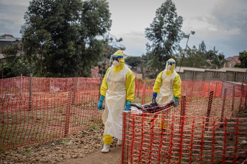 콩고발 에볼라 나이지리아까지 확산…2014년 이후 첫 확진자 발생
