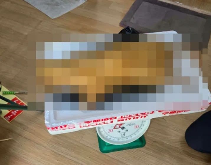 국내 베트남인 커뮤니티에 고양이 고기 판매글과 사체 사진 올라와 파문