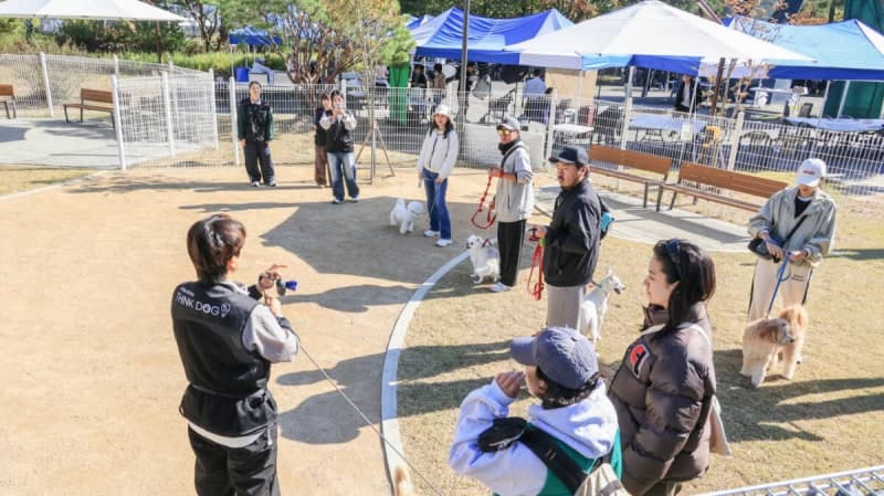 과천시, 24일 '댕댕이 시민학교' 개최…건강검진부터 수제 간식 만들기까지