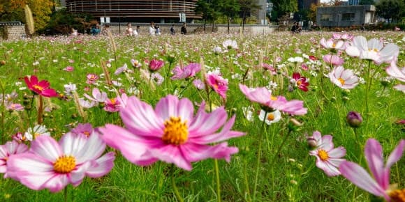 슈퍼태풍 '참피' 북상 중…주말 제주·남해안 강한 비바람 주의
