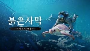 펄어비스 '붉은사막 인핸스드' 첫 DLC '미지의 여정' 30일 출시