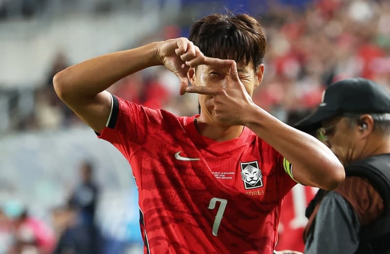 국감장까지 번진 태극전사 불화설… "손흥민을 7번, 그분이라 부른다?"