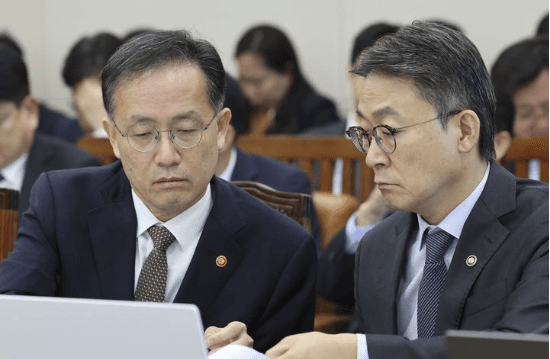 이형일 "국민연금 주식 비중 상향, 증시 부양 아닌 리밸런싱 충격 방지용"