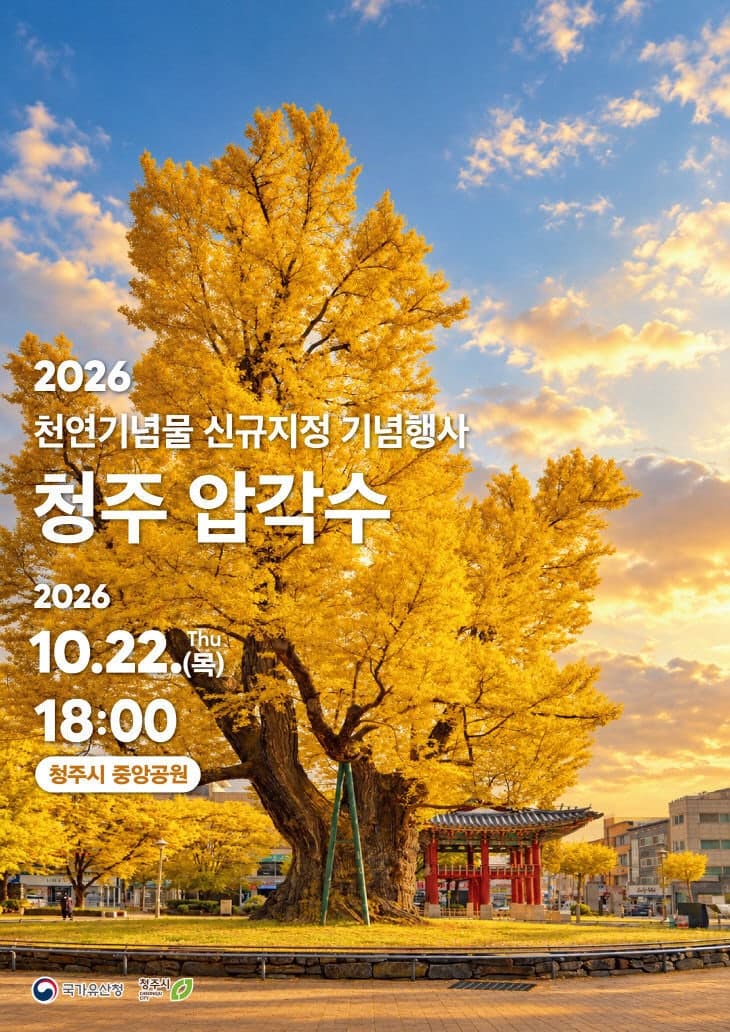 고려 말 이색 목숨 구한 900년 은행나무 '청주 압각수' 천연기념물 지정 기념행사