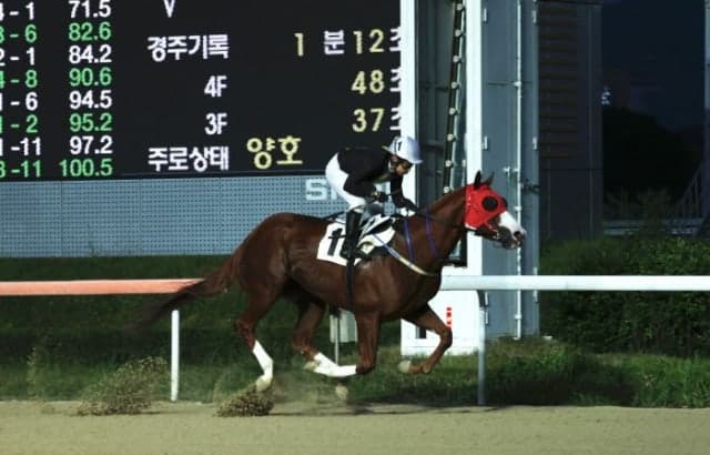 서승운 기수, 데뷔 15년 만에 개인 통산 1000승 대기록 달성