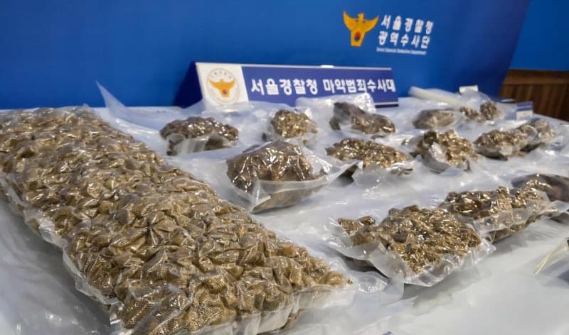 전세사기 후 8년 도피한 40대, 태국서 대마 유통하다 강제송환