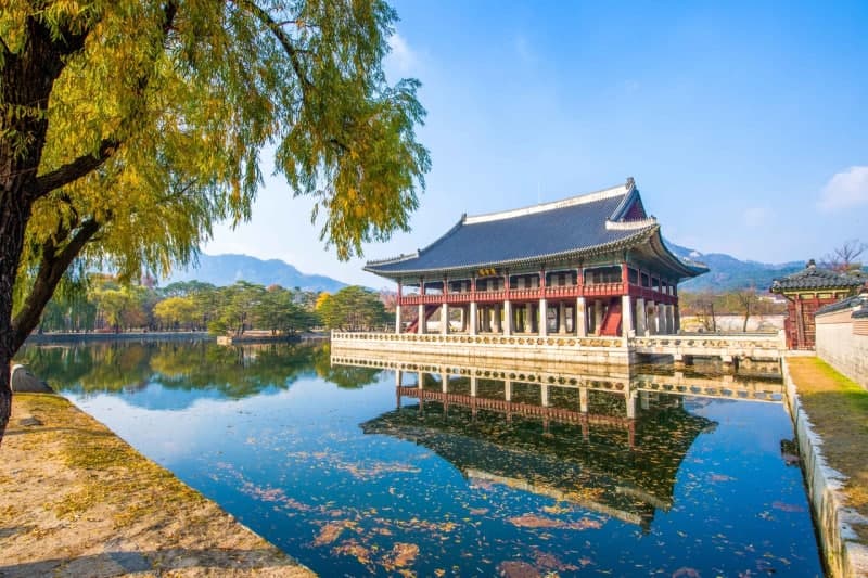 방한 외국인 1711만 명 돌파…역대 연간 기록 경신 눈앞