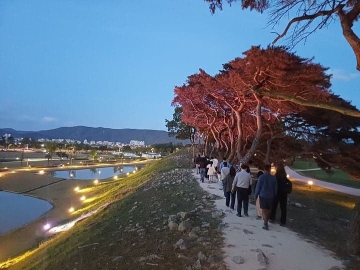국립공원 야경 투어 첫 시범 도입…경주·북한산·팔공산서 특별 탐방