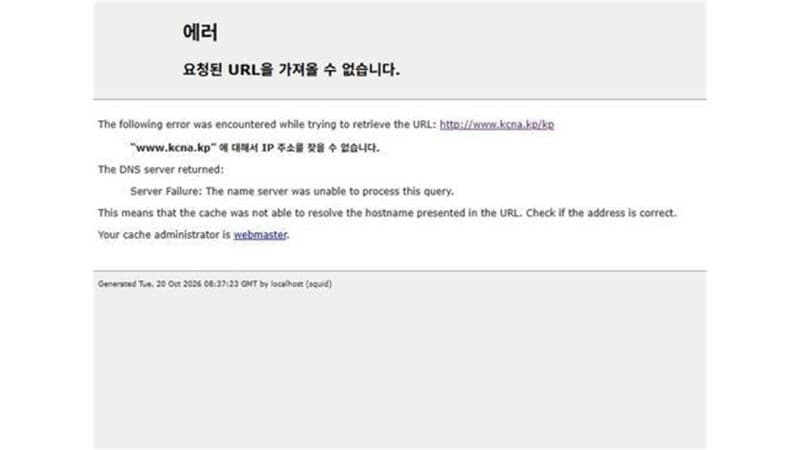 북한 인터넷 마비 사태, 외부 디도스 공격에 의한 것