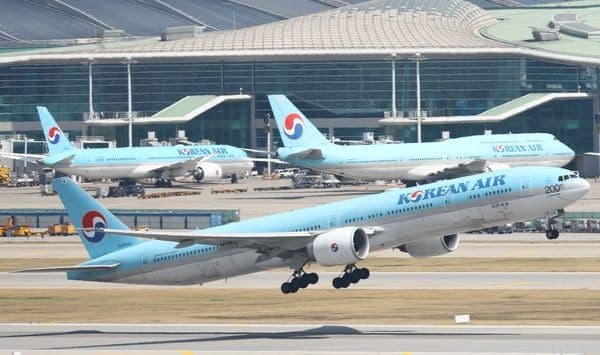대한항공·아시아나 고객 정보 유출…IT 협력사 '아마데우스' 뚫렸다