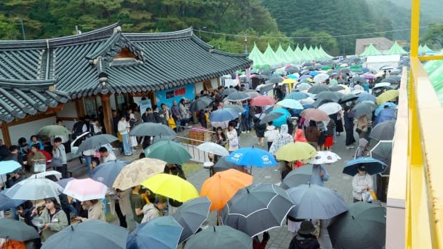 태풍 뚫고 17만 명 몰린 김천김밥축제, 전국구 축제로 도약