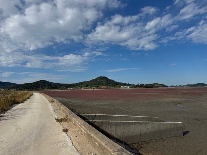 신안군, 지도 갯벌도립공원에 3km 생태 탐방로 조성 완료