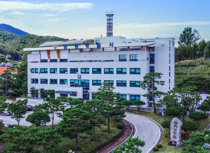 훔친 차로 도주하다 경찰차 들이받은 20대 검거