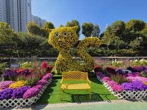 노원구, 하천 꽃길부터 도심 단풍길까지 가을 산책 명소로 변신
