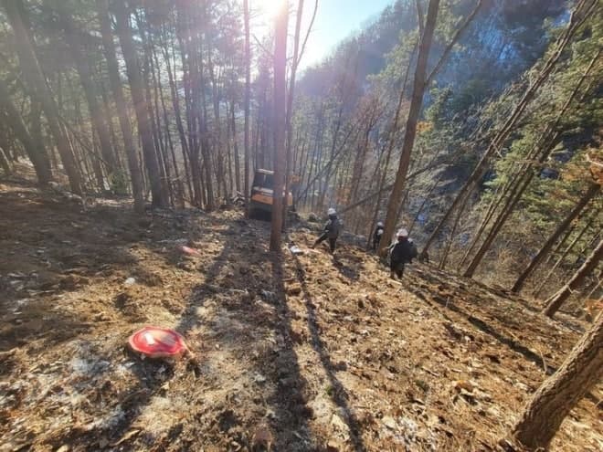 경기도, 소나무재선충병 확산에 가평군 특별방제구역 지정하고 총력 대응