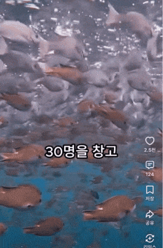 울릉도 관광객 30명 감금·강매?…유튜브 허위 영상에 법적 대응 예고