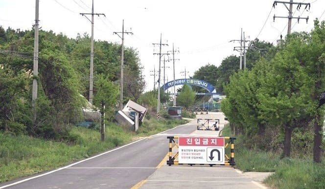 민통선 뚫고 GOP 철책까지 훼손…30대 여성 20시간 동안 군 감시망 피했다