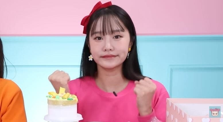헤이지니, 노동 착취 의혹에 반박… "산재 신청 방해 사실과 달라"