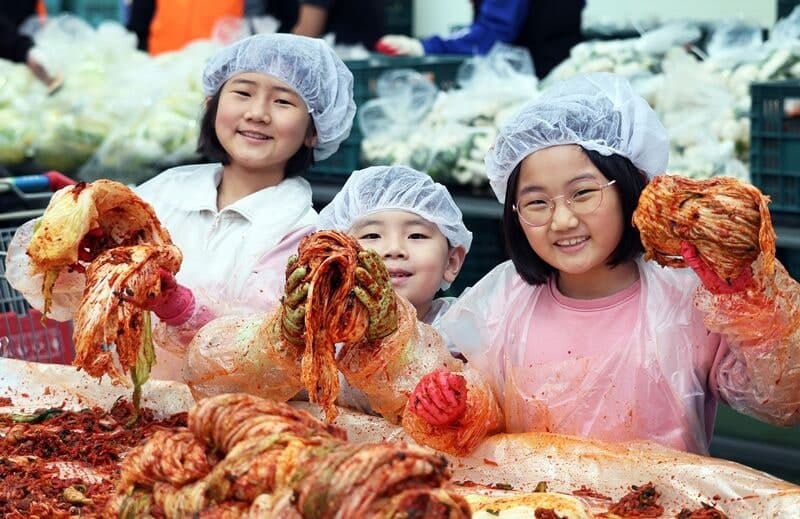 평창 고랭지 김장축제 11월 4일 개막…체험 물량 20% 확대