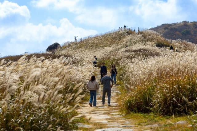궂은 날씨 뚫고 3만 7천 명 방문… 합천 황매산, 주민 주도 상생 관광지로 우뚝