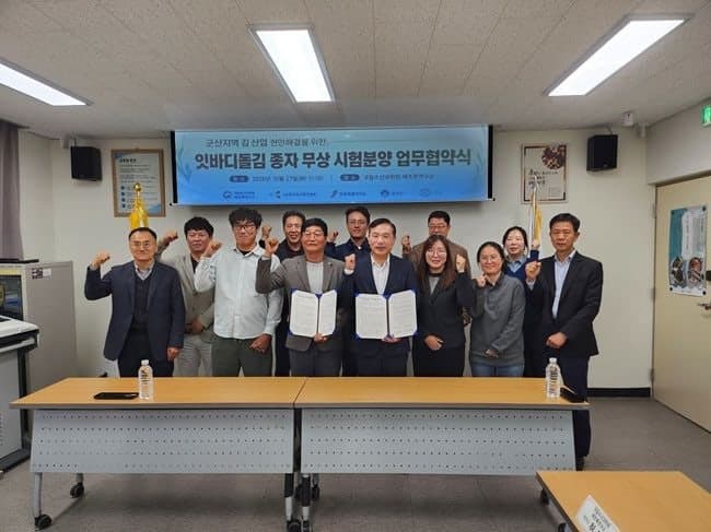 군산 김 양식, 외래종 대신 국산 제주산 잇바디돌김으로 바꾼다