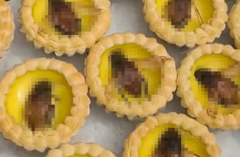 “바퀴벌레 아냐?”…중국 에그타르트 위 곤충의 정체는?