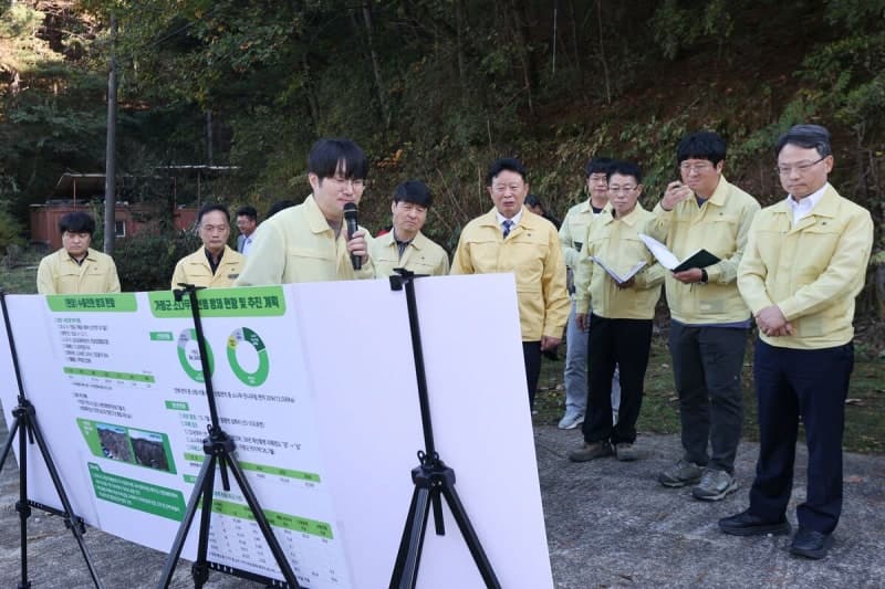가평군 전역 소나무재선충병 특별방제구역 지정 및 연중 방제 돌입