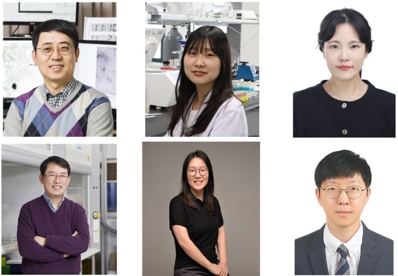 암 환자 식욕 저하와 근육 손실 막는 치료제 후보물질 개발
