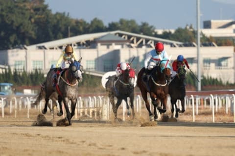 렛츠런파크 부산경남, 11월 경마 시행 계획 발표…총 40개 경주 열린다