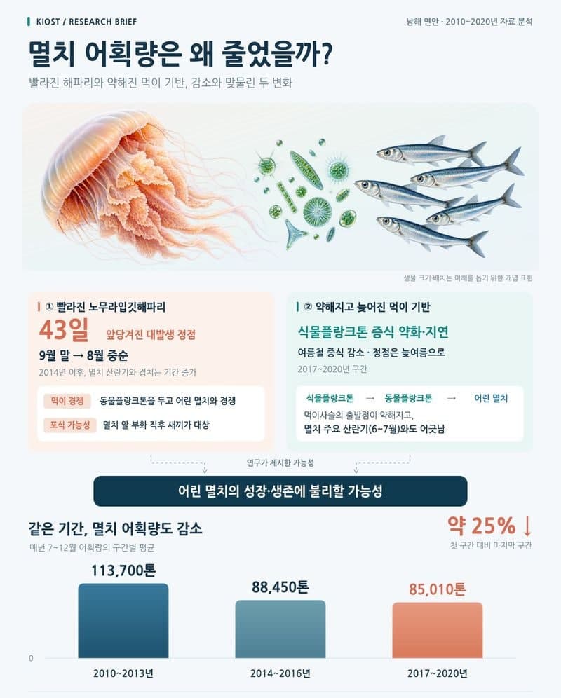 남해 바다 생태계 시간표 어긋나…멸치 어획량 10년 새 25% 급감