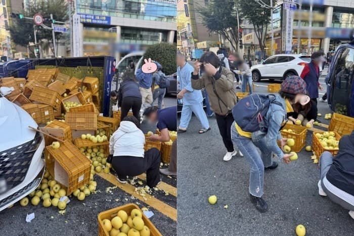 부산 도로에 쏟아진 사과 상자, 시민들 발 벗고 나서 수습했다