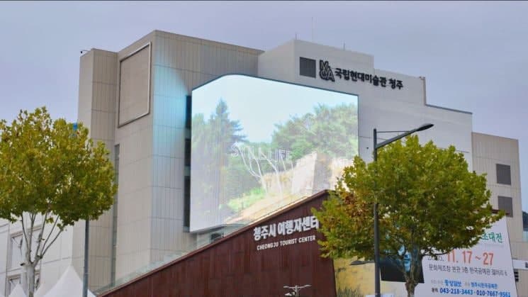 거울 속에 나타난 '내일로 가는 방법'…국립현대미술관 청주 '미술관 길목 프로젝트' 개최