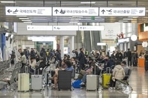 지방공항 외국인 입국객 37% 급증…수도권보다 높은 성장세