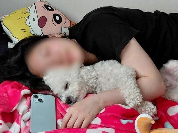 19세 나예솔 양, 최충락 흉기 난동 18일째 의식불명…모친 "나빠지지 않는 게 희망"