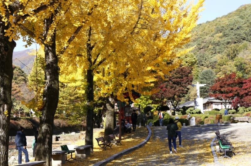 10월의 마지막 날 새벽 비 그치고 맑음…11월 첫날 전국 가을비